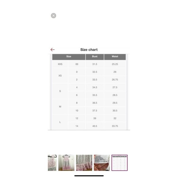 LoveShackFancy x Target Lace Pink Blue Floral Sleeveless Ruffle Dress Xsmall - Picture 6 of 6